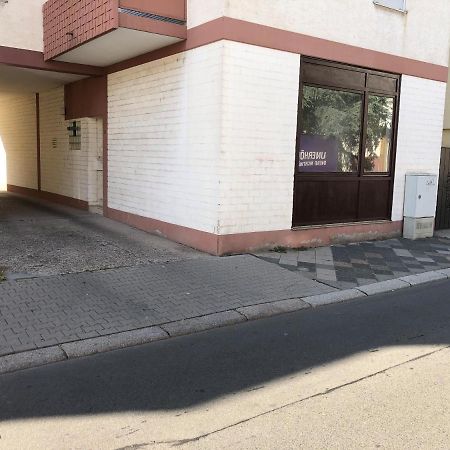 Monteurwohnung Im Zentrum Worms Eksteriør billede
